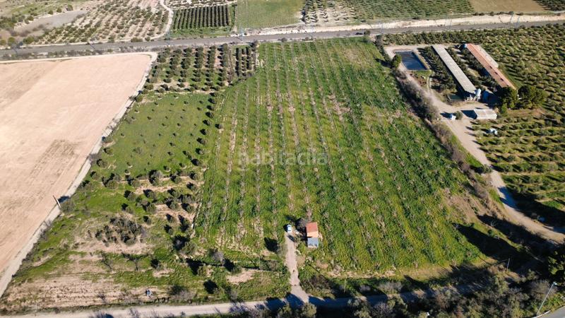 Foto 9509518f-b13c-4551-b098-b61d9f925300. Finca rústica a Borges Blanques (Les)