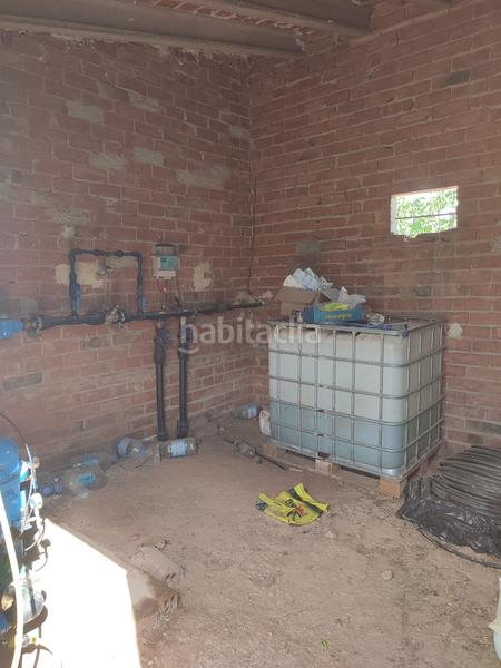 Foto b311bec9-445a-425e-878c-d2e356e81476. Finca rústica a Borges Blanques (Les)