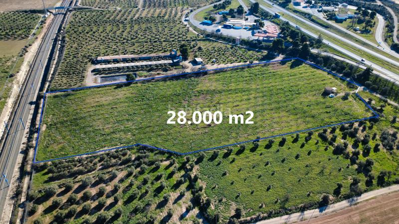 Foto b8437fa9-04a8-46da-ab30-d4bd7a433e04. Finca rústica a Borges Blanques (Les)