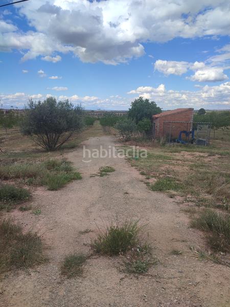 Foto c4c68334-5f3c-4e56-acdf-bc4393838a32. Finca rústica a Borges Blanques (Les)