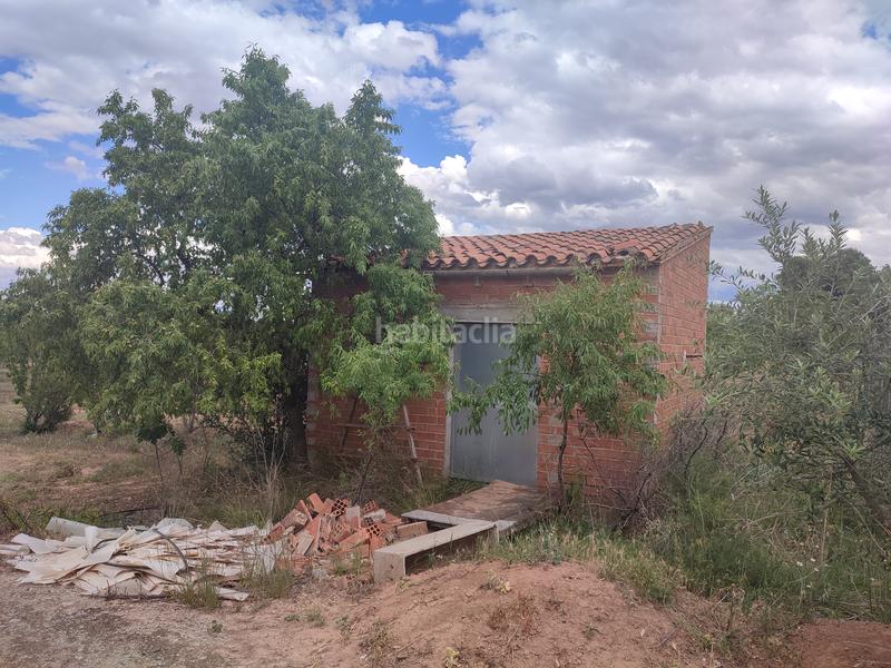 Foto cd9400ac-8500-4c10-b118-0c7e4b86d7e2. Finca rústica a Borges Blanques (Les)