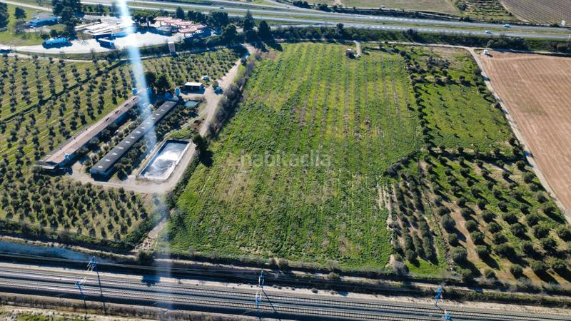 Foto d96e9449-59ac-4f12-8d59-a58eddaafb9f. Finca rústica a Borges Blanques (Les)