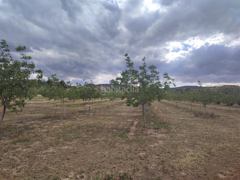 Foto f1b6b399-81a1-4ad5-9a7e-33335d218721. Finca rústica a Borges Blanques (Les)