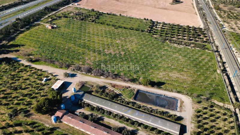Foto f94f2e81-a8c3-4036-af28-0a89b16729e9. Finca rústica a Borges Blanques (Les)