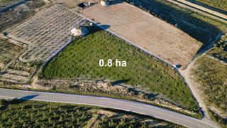 Finca rústica a Borges Blanques (Les). En venda al municipi d'arbeca. peça de terra rústica de regadiu