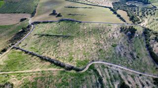 Finca rstica en Borges Blanques (Les). Finca rstica de sec de 28.976 m2 situada al terme de les borge