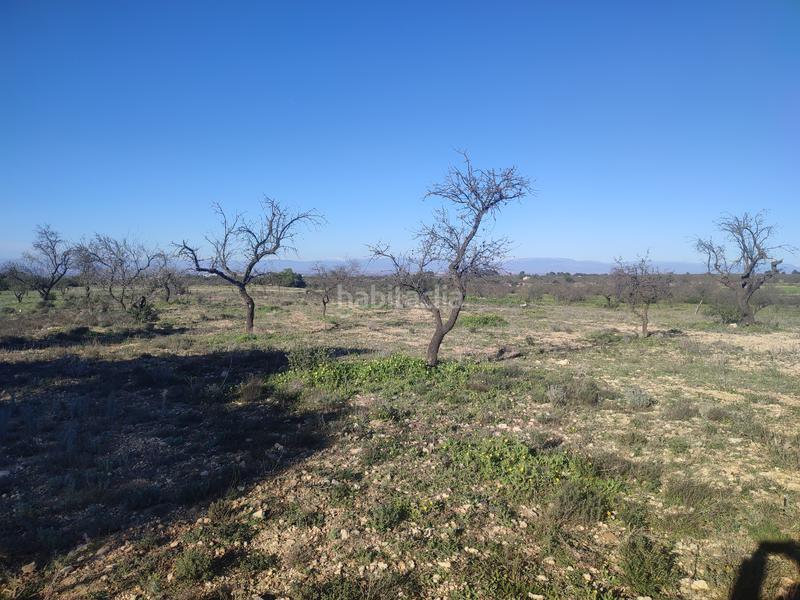 Foto 25a7e8ea-fdf4-43c3-962e-28c72497219a. Finca rústica a Borges Blanques (Les)