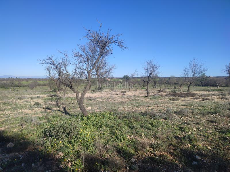Foto 6e068bd6-badd-4f44-b042-50e45c2b171b. Finca rústica a Borges Blanques (Les)