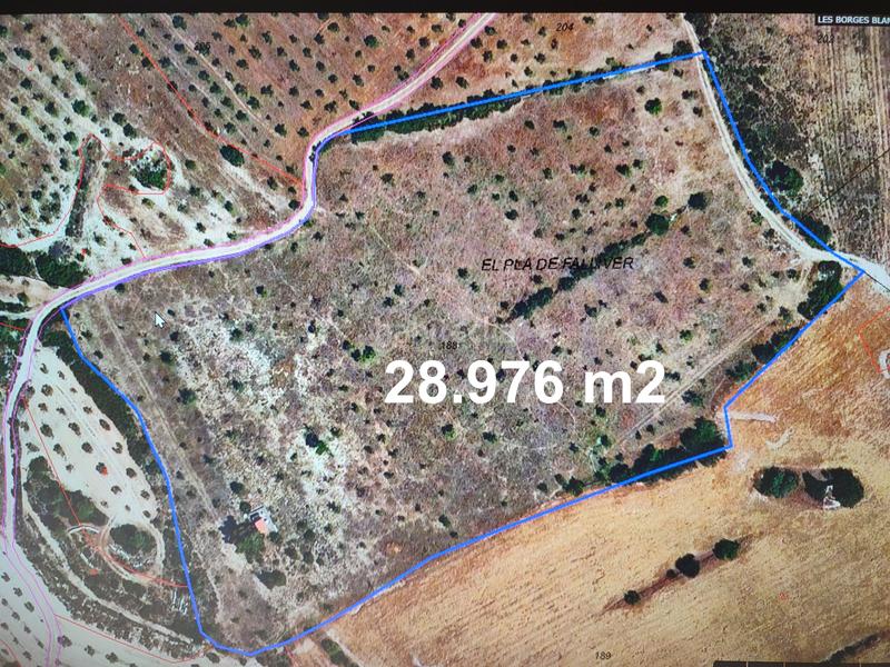 Foto 71f2d8f7-2182-47f6-8578-13f4a562df68. Finca rústica a Borges Blanques (Les)