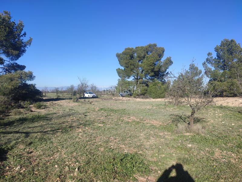Foto 850596df-e82e-495f-9864-69114af4f67b. Finca rústica a Borges Blanques (Les)