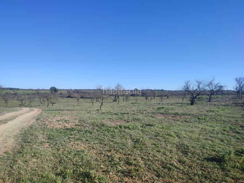 Foto ad8d4228-2c17-4eb2-b7ce-12c0d15b4892. Finca rústica a Borges Blanques (Les)