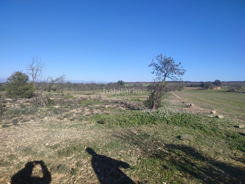 Foto c9b1ca29-b815-43e7-8df4-118952dd2e41. Finca rústica a Borges Blanques (Les)
