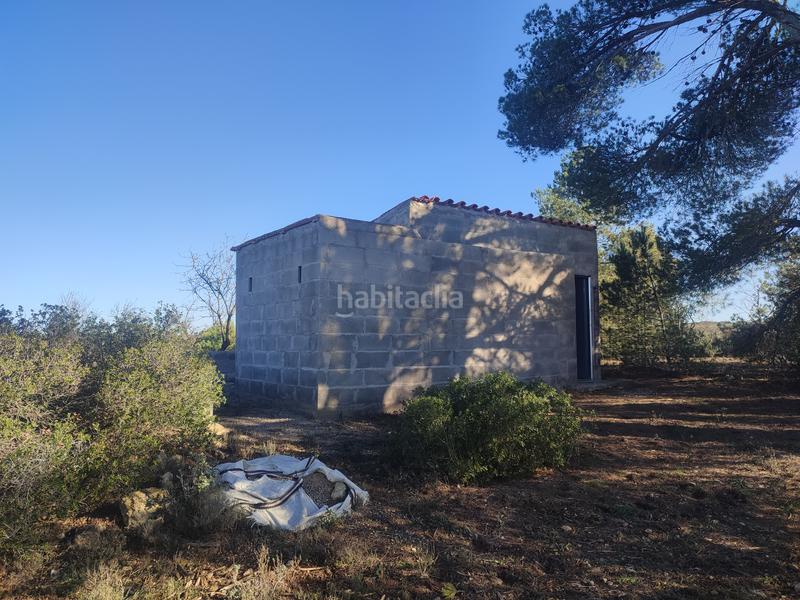 Foto e491bca0-df8e-48ce-9db0-f9312a0e0cac. Finca rústica a Borges Blanques (Les)