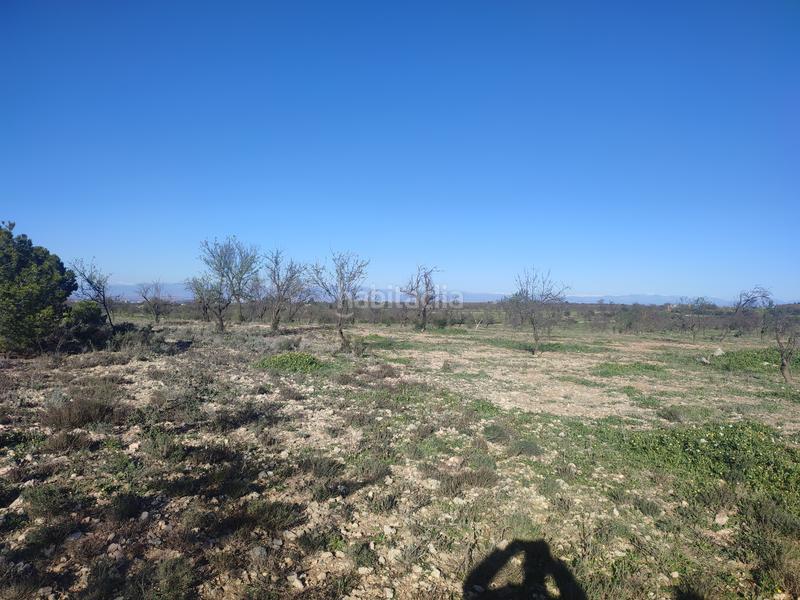 Foto f7868bb7-9875-428d-a45d-246f7e8e10db. Finca rústica a Borges Blanques (Les)