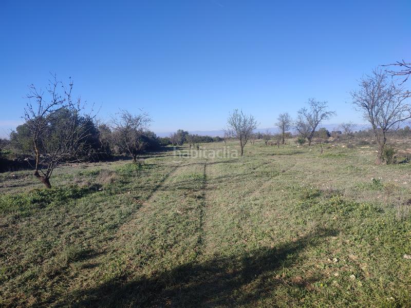 Foto ff3c9596-46cc-4fc7-82a6-a03e6d3db929. Finca rústica a Borges Blanques (Les)