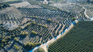 Fondo rustico in Borges Blanques (Les). En venda finca rstica de sec de 68.154 m2 situada al terme de