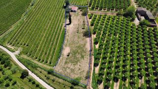 Finca r�stica a Borges Blanques (Les). En venda al municipi de les borges blanques.  finca r�stica de r