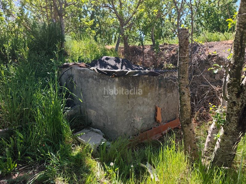 Foto 0c46b788-ff0b-4bf4-808e-94ff55c1132d. Finca rústica a Borges Blanques (Les)