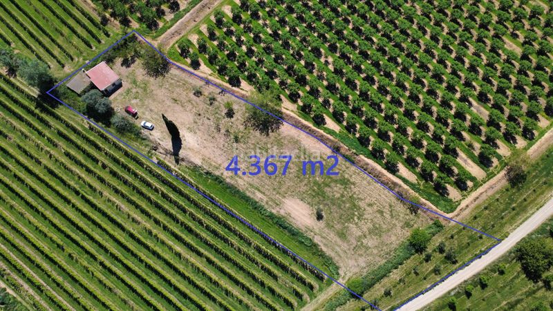 Foto 2257f7d5-a8fc-460c-8e05-51334a365912. Finca rústica a Borges Blanques (Les)