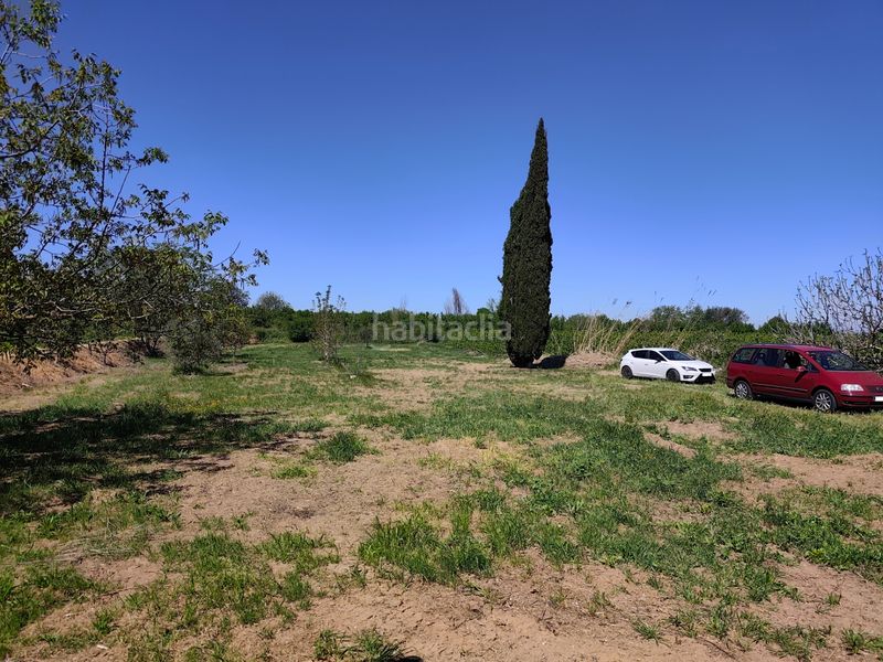 Foto a5a5d411-988b-44b6-982e-fb3fd10716cd. Finca rústica a Borges Blanques (Les)