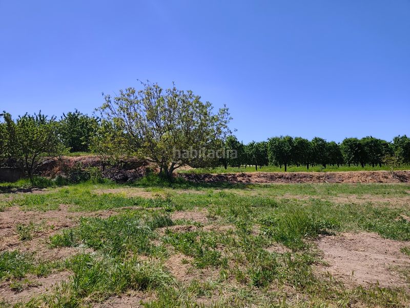 Foto d757c2f7-ee91-4aaf-bbf0-7c3c3a41e12f. Finca rústica a Borges Blanques (Les)