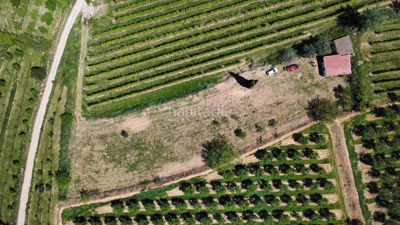 Foto 1ea31e0b-0a08-448c-89a7-cac6237428e2. Finca rústica a Castelldans