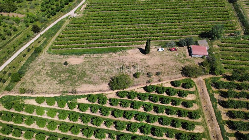 Foto 44ab0552-054d-4e4c-baa7-cca93c62b792. Finca rústica a Castelldans