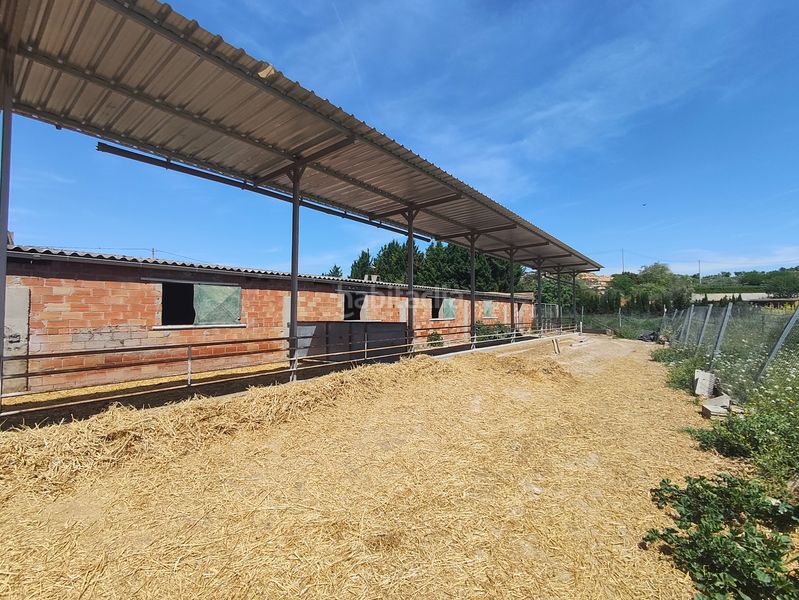Foto b8aa854a-4168-46e8-806b-ddb2503e5ac9. Nau industrial a Arbeca