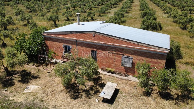 Foto 5851a5e1-686f-4a47-8aad-143493307922. Finca rústica a lv-7031 6 a Borges Blanques (Les)