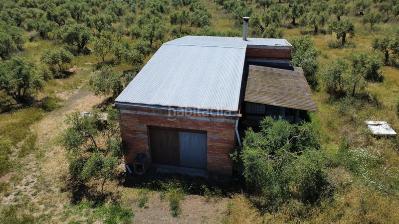Foto 60381495-02bb-4362-8024-da69a2a8f88f. Finca rústica a lv-7031 6 a Borges Blanques (Les)