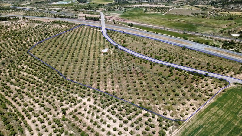 Foto 65e9d4e5-b5b6-467b-b232-e16bb382cc4a. Finca rústica a lv-7031 6 a Borges Blanques (Les)