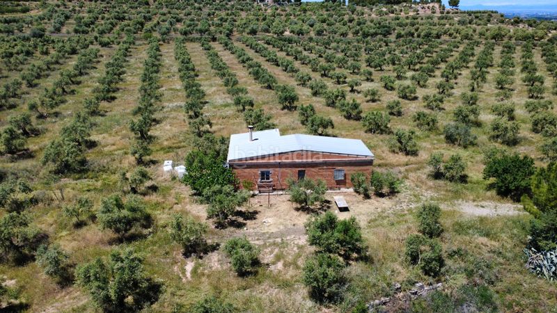 Foto e24ce4ef-bf0b-47b1-be1a-dde8d6a9a7a8. Finca rústica a lv-7031 6 a Borges Blanques (Les)