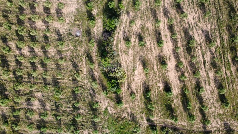 Foto 596b7757-e161-4746-86b5-97a2df0bc3f1. Finca rústica a n/a a Borges Blanques (Les)