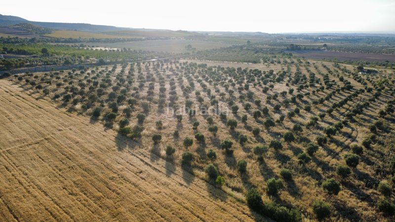 Foto 3003b732-dc75-48b8-aa1e-3a24f1081e0f. Finca rústica a n/a a Borges Blanques (Les)