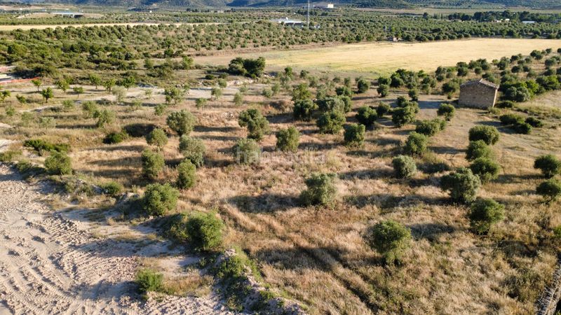 Foto a55ced74-219d-43bd-97a2-d6444cc8e12e. Finca rústica a n/a a Borges Blanques (Les)