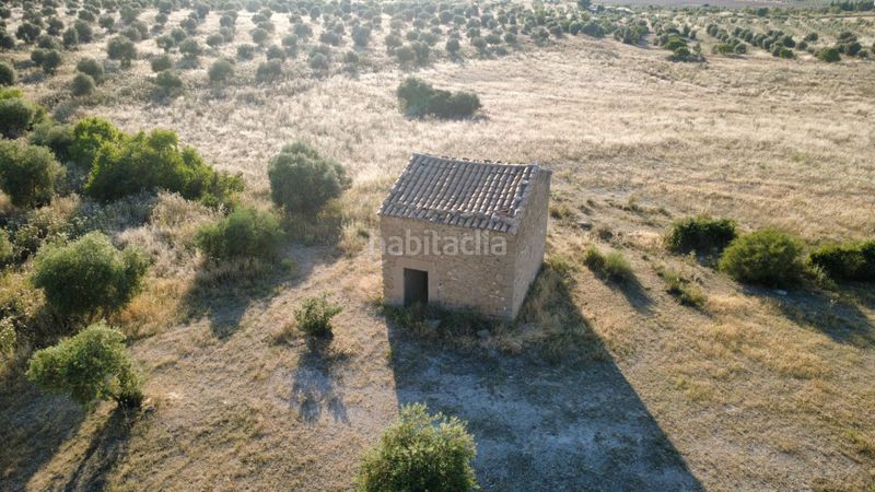 Foto b49e6292-4a2c-4c9d-8839-7e3c13d8f3d6. Finca rústica a n/a a Borges Blanques (Les)