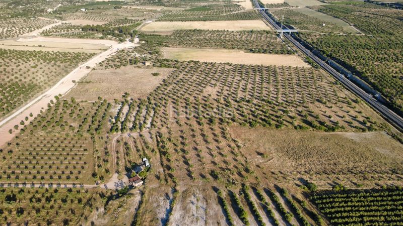 Foto f0b85211-cfdd-47a0-8b5c-cce6f4e5c8b7. Finca rústica a n/a a Borges Blanques (Les)