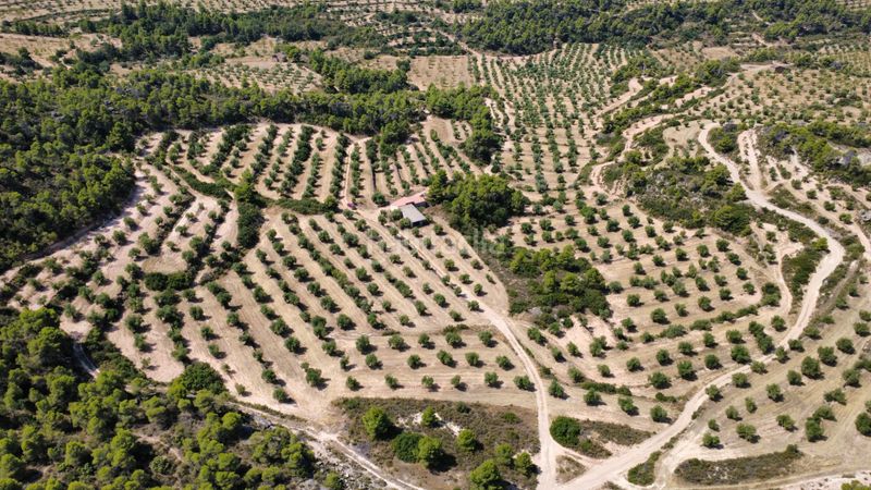 Foto 0f75dd53-7ebe-4c8e-a6b9-9d36be05eca3. Finca rústica a Juncosa