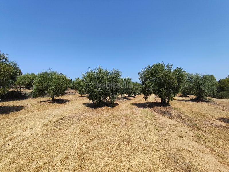 Foto a53f5383-1d6b-4665-8163-0e3fc8706974. Finca rústica a Juncosa