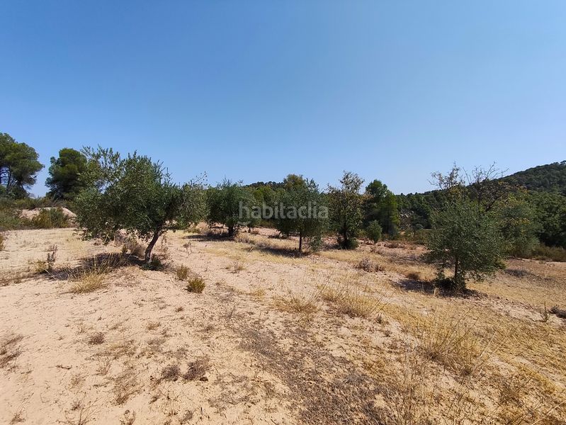Foto b600873d-5a67-49a6-8711-055a5a93c899. Finca rústica a Juncosa