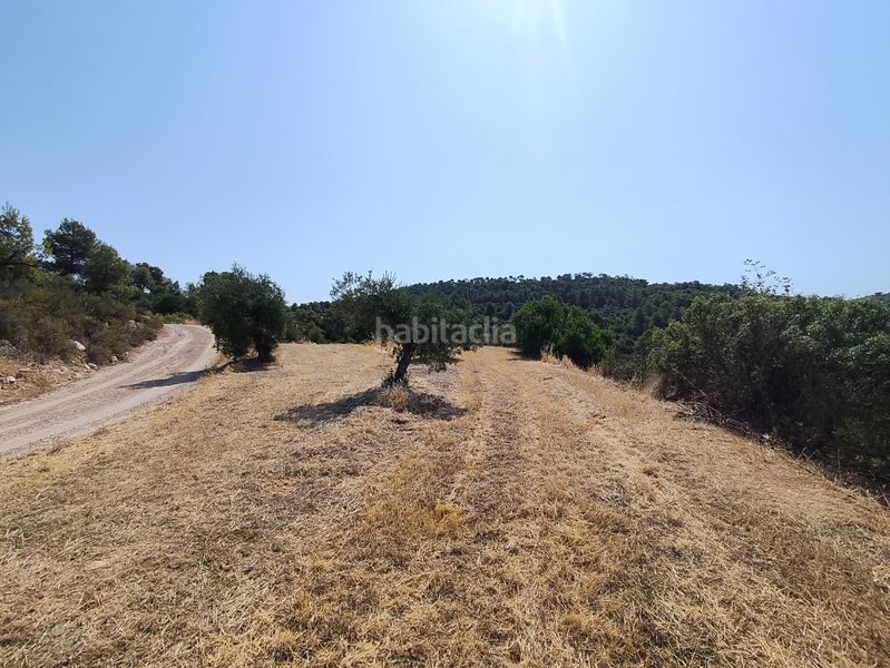 Foto b6156ff5-84f6-471c-b9bc-c82316a38c0e. Finca rústica a Juncosa