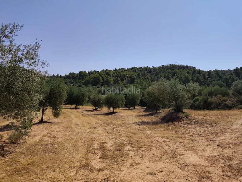 Foto d55a0280-901d-4c83-8e72-e23cfe5976f3. Finca rústica a Juncosa