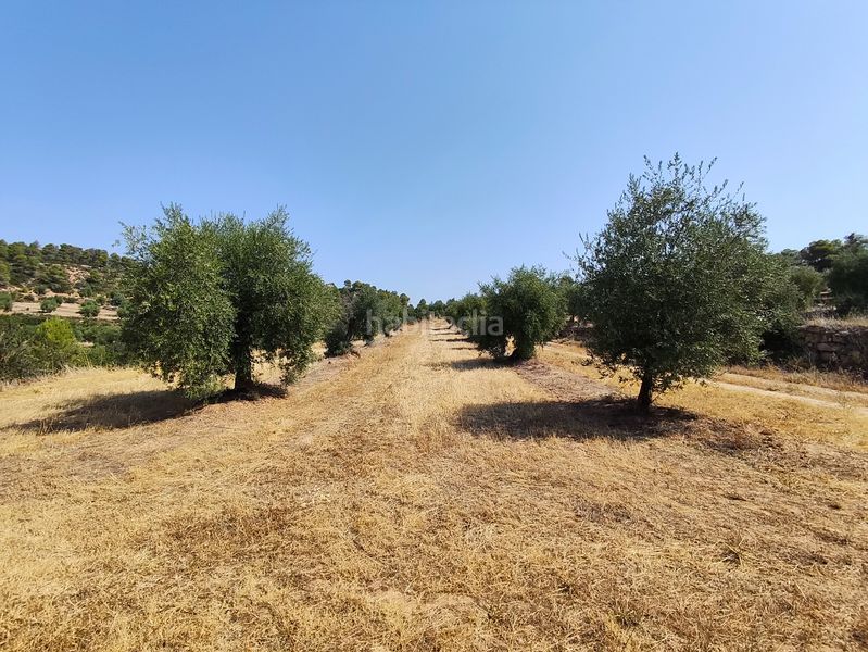 Foto dcad04b7-30d0-4ef0-8e37-f0700a70fe94. Finca rústica a Juncosa