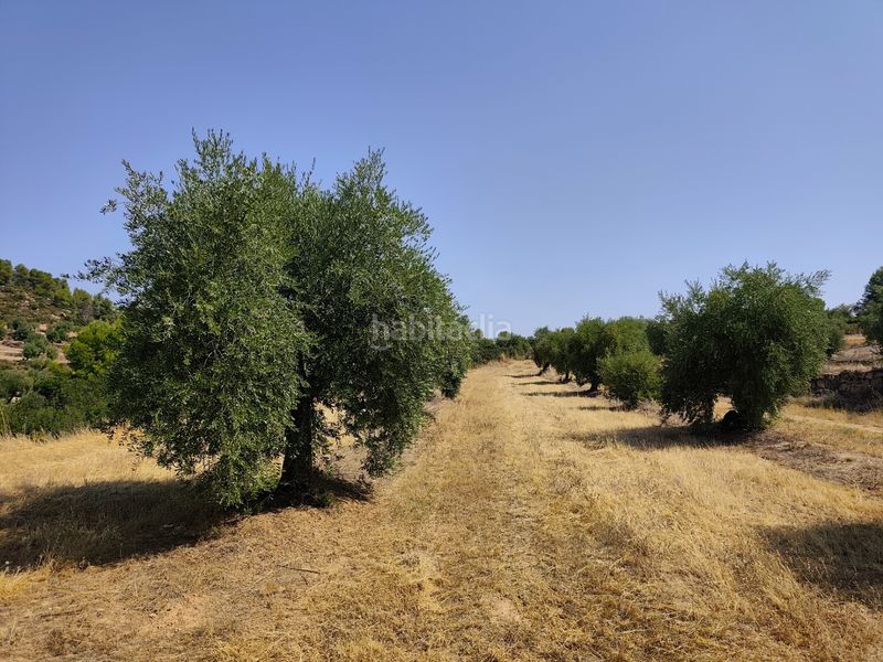 Foto de685fcf-678f-4e7a-bab0-0fc06e0723c3. Finca rústica a Juncosa