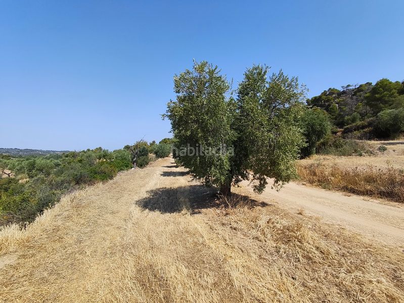 Foto e32a4929-55a4-4a62-9f1a-d708c65a1260. Finca rústica a Juncosa