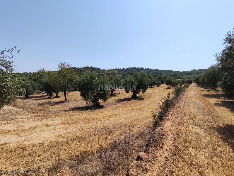 Foto e3687ba2-70c6-4ba8-86d1-397d6f6ea78c. Finca rústica a Juncosa
