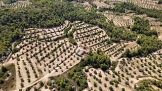 Finca r�stica a Cervi� de les Garrigues. En venda al municipi de juncosa (25165).  finca r�stica de sec�,