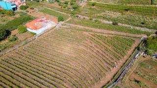 Maison à Tacoronte - Los Naranjeros