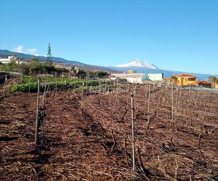 Foto 5be21fc6-47c3-40e9-b044-262a8965f1a1. Casa en juan perez en Tacoronte - los naranjeros Tacoronte