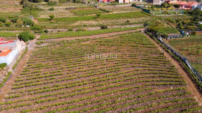 Foto 69a974af-bad6-4fa1-adbd-261c5ca3c19f. Casa en juan perez en Tacoronte - los naranjeros Tacoronte